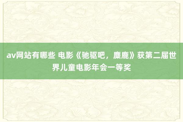 av网站有哪些 电影《驰驱吧，麋鹿》获第二届世界儿童电影年会一等奖
