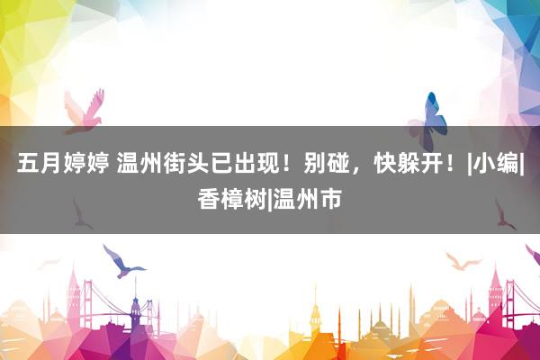 五月婷婷 温州街头已出现！别碰，快躲开！|小编|香樟树|温州市
