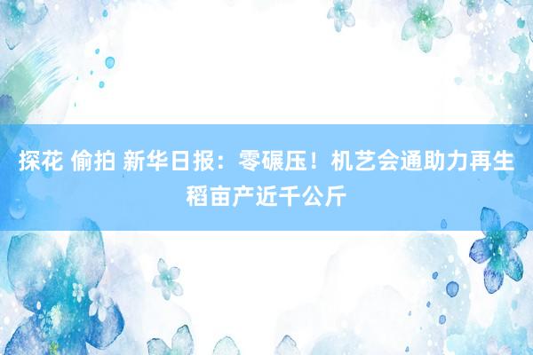 探花 偷拍 新华日报：零碾压！机艺会通助力再生稻亩产近千公斤