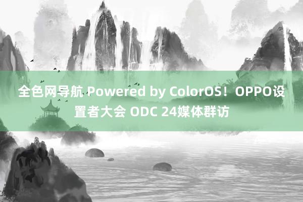 全色网导航 Powered by ColorOS！OPPO设置者大会 ODC 24媒体群访