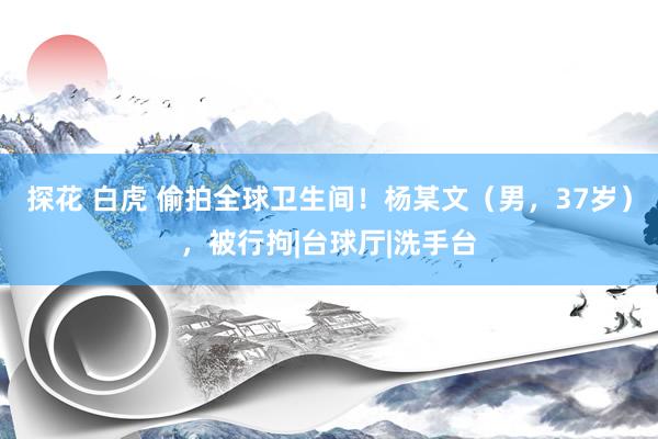 探花 白虎 偷拍全球卫生间！杨某文（男，37岁），被行拘|台球厅|洗手台