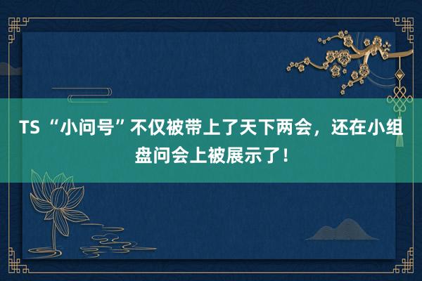 TS “小问号”不仅被带上了天下两会，还在小组盘问会上被展示了！
