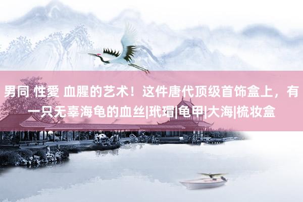 男同 性愛 血腥的艺术！这件唐代顶级首饰盒上，有一只无辜海龟的血丝|玳瑁|龟甲|大海|梳妆盒