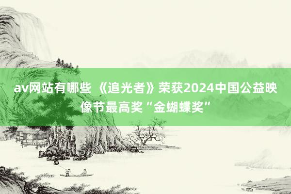 av网站有哪些 《追光者》荣获2024中国公益映像节最高奖“金蝴蝶奖”