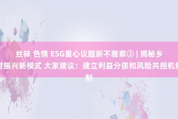 丝袜 色情 ESG重心议题新不雅察③ | 揭秘乡村振兴新模式 大家建议：建立利益分拨和风险共担机制