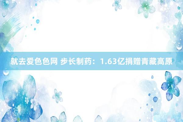 就去爱色色网 步长制药：1.63亿捐赠青藏高原