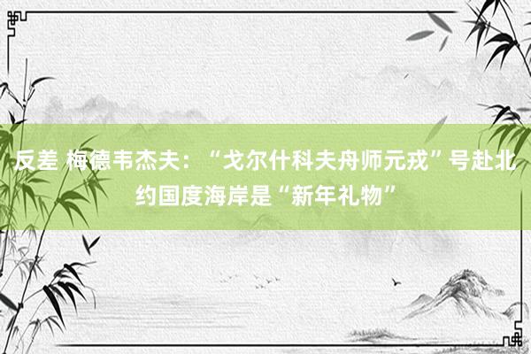 反差 梅德韦杰夫：“戈尔什科夫舟师元戎”号赴北约国度海岸是“新年礼物”