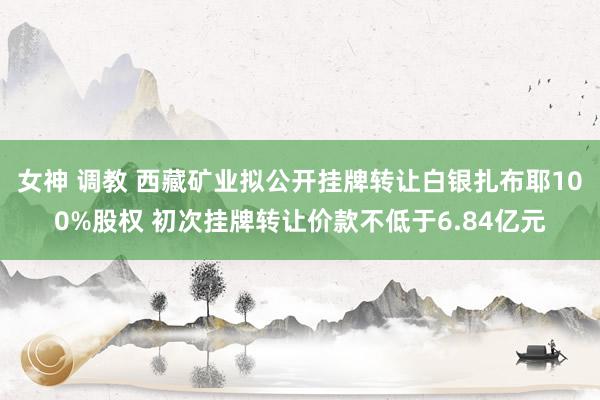 女神 调教 西藏矿业拟公开挂牌转让白银扎布耶100%股权 初次挂牌转让价款不低于6.84亿元