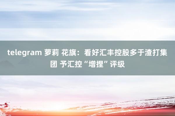 telegram 萝莉 花旗：看好汇丰控股多于渣打集团 予汇控“增捏”评级