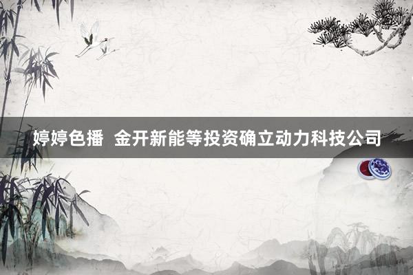 婷婷色播  金开新能等投资确立动力科技公司